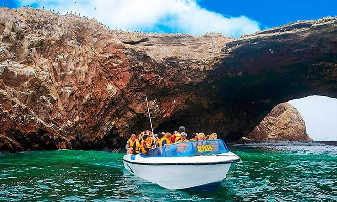 Paracas tour en bote