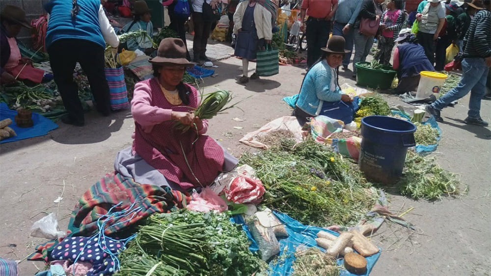 feira de plantas medicinais hampi rantikuy cusco