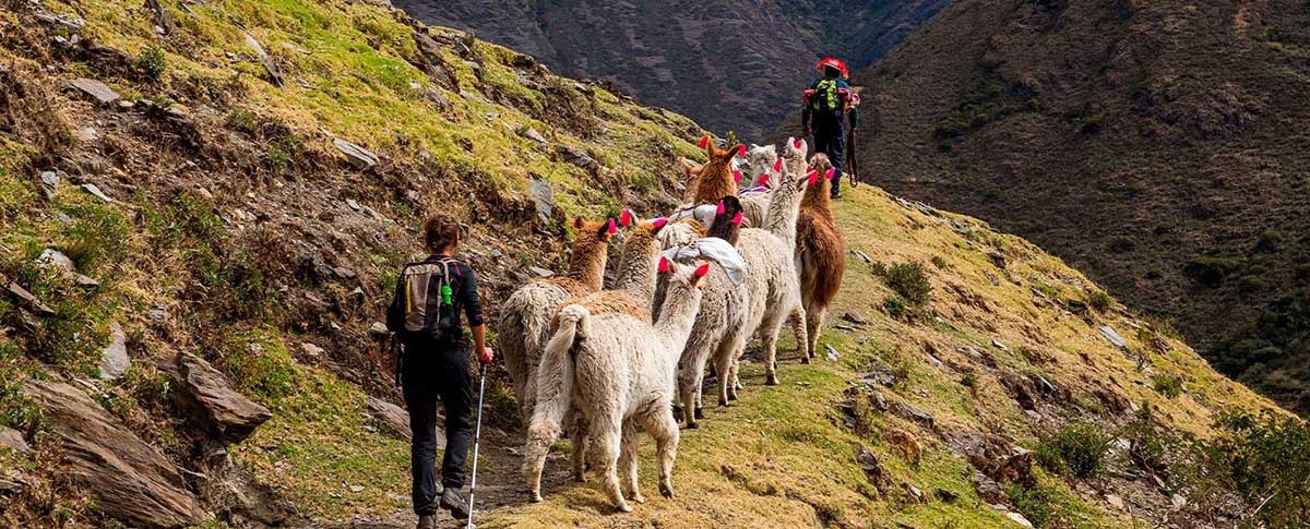 Lares Trek to Machu Picchu - 4 Days